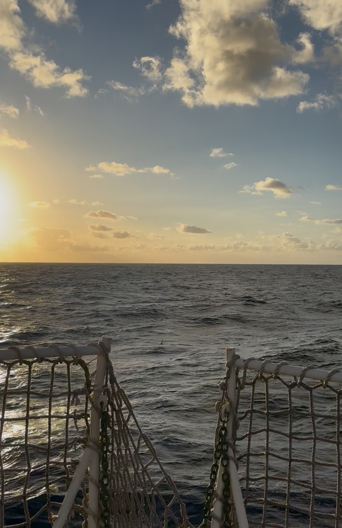 Brazil deployment Photo